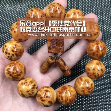 乐竟