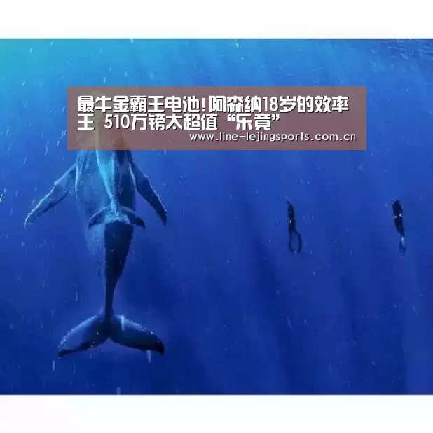 最牛金霸王电池!阿森纳18岁的效率王 510万镑太超值“乐竟”(图2) 乐竟体育app